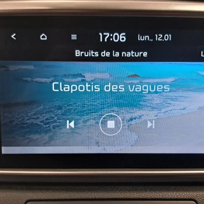 Sportage 1.6 CRDi 136ch MHEV DCT7 4x4  GT Line Premium - photo 62/78