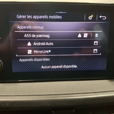 Fabia 1.0 TSI 95 ch BVM5  Ambition - photo 38/50