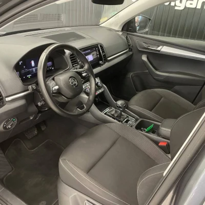 Karoq 2.0 TDI 116 ch SCR DSG7  Business - photo 16/67