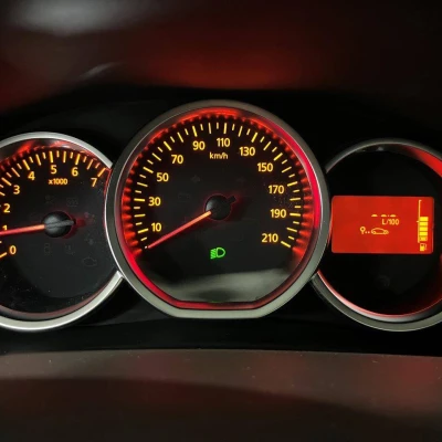 Logan MCV TCe 90  Stepway - photo 25/55