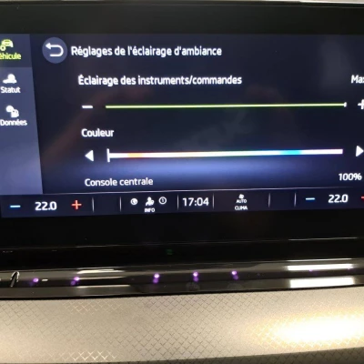 Octavia Combi 2.0 TDI 150 ch DSG7  Business - photo 45/64