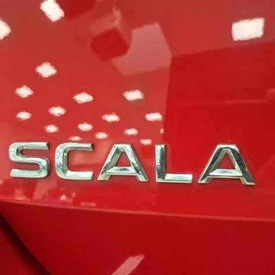 Scala 1.0 TSI Evo 110 ch DSG7  Business - photo 15/64