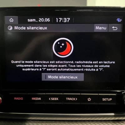 Rio 1.0 T-GDi 100 ch MHEV iBVM6  GT Line - photo 44/51