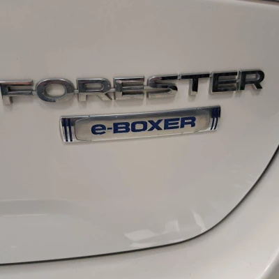 Forester 2.0i e-boxer 150 ch Lineartronic Eyesight  Premium - photo 14/71