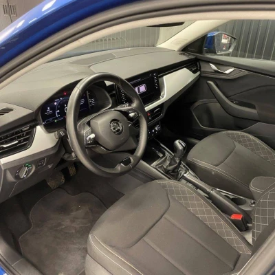 Scala 1.0 TSI Evo 110 ch DSG7  Business - photo 15/55