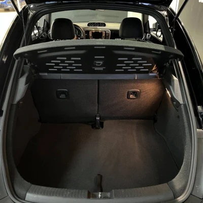 Coccinelle 2.0 TSI 220 BMT DSG6  Dune - photo 58/60