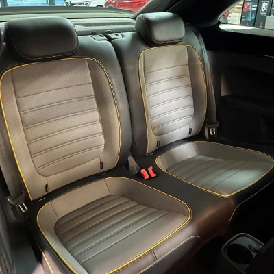 Coccinelle 2.0 TSI 220 BMT DSG6  Dune - photo 57/60