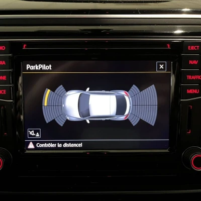 Coccinelle 2.0 TSI 220 BMT DSG6  Dune - photo 46/60