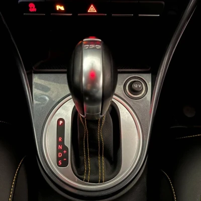 Coccinelle 2.0 TSI 220 BMT DSG6  Dune - photo 42/60