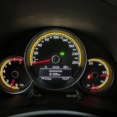 Coccinelle 2.0 TSI 220 BMT DSG6  Dune - photo 34/60