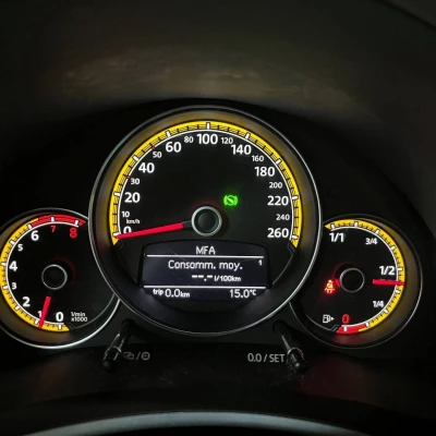 Coccinelle 2.0 TSI 220 BMT DSG6  Dune - photo 33/60