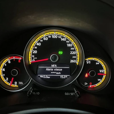 Coccinelle 2.0 TSI 220 BMT DSG6  Dune - photo 32/60