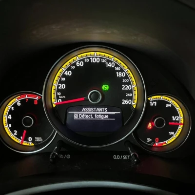 Coccinelle 2.0 TSI 220 BMT DSG6  Dune - photo 30/60