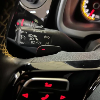 Coccinelle 2.0 TSI 220 BMT DSG6  Dune - photo 23/60