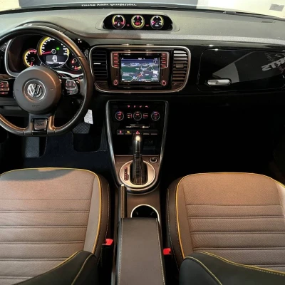 Coccinelle 2.0 TSI 220 BMT DSG6  Dune - photo 20/60