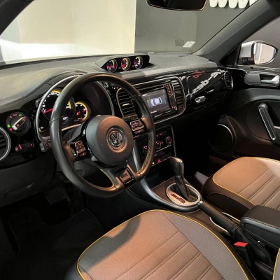 Coccinelle 2.0 TSI 220 BMT DSG6  Dune - photo 14/60