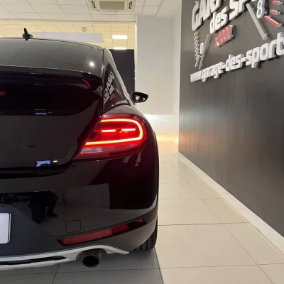 Coccinelle 2.0 TSI 220 BMT DSG6  Dune - photo 11/60