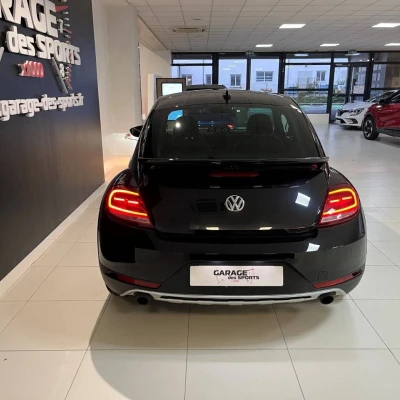 Coccinelle 2.0 TSI 220 BMT DSG6  Dune - photo 6/60