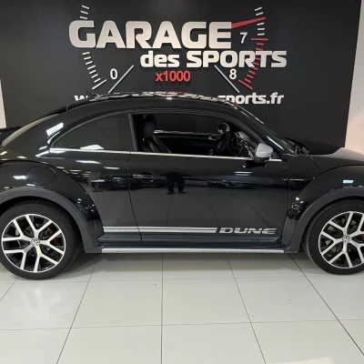 Coccinelle 2.0 TSI 220 BMT DSG6  Dune - photo 4/60