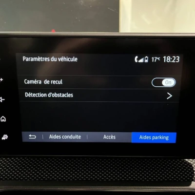 Sandero ECO-G 100  Stepway Confort - photo 50/61