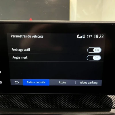 Sandero ECO-G 100  Stepway Confort - photo 48/61