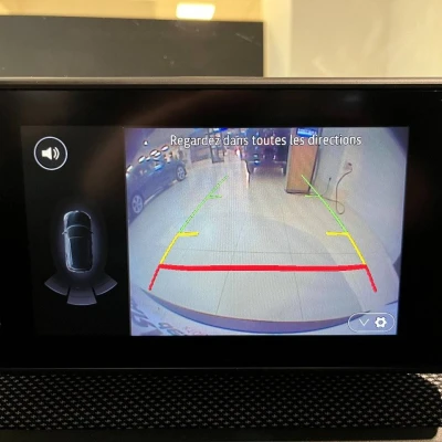 Sandero ECO-G 100  Stepway Confort - photo 43/61