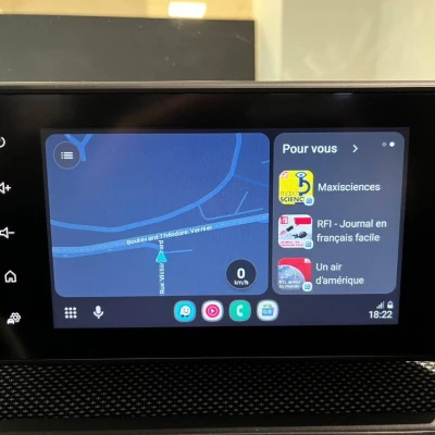 Sandero ECO-G 100  Stepway Confort - photo 42/61