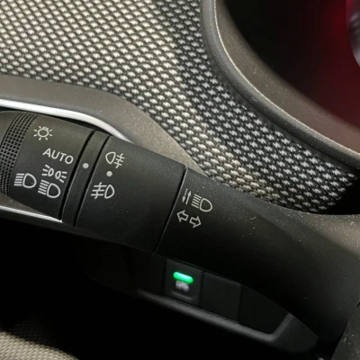 Sandero ECO-G 100  Stepway Confort - photo 33/61