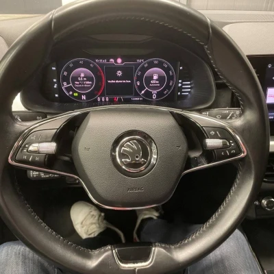 Scala 1.6 TDI 116 ch DSG7  Business - photo 23/60