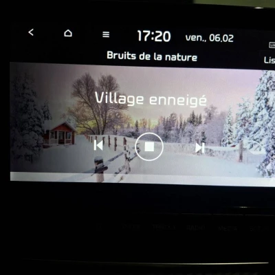 Rio 1.0 T-GDi 120 ch MHEV DCT7  GT-Line Premium - photo 46/55