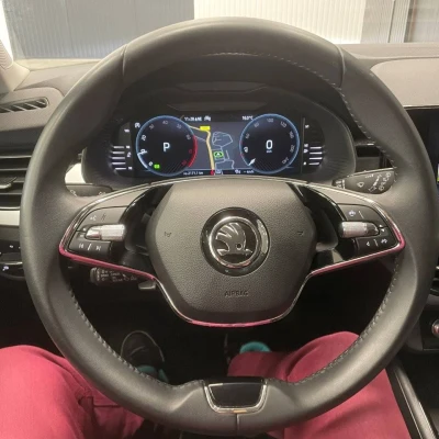 Scala 1.0 TSI Evo 110 ch DSG7  Business - photo 22/62