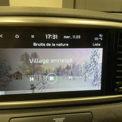 Sportage 1.6 CRDi 136ch MHEV ISG DCT7 4x2  Black Edition - photo 50/59