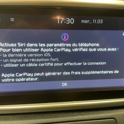 Sportage 1.6 CRDi 136ch MHEV ISG DCT7 4x2  Black Edition - photo 49/59