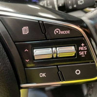 Sportage 1.6 CRDi 136ch MHEV ISG DCT7 4x2  Black Edition - photo 25/59