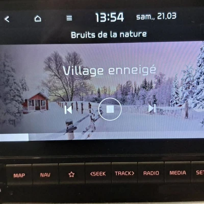 Stonic 1.0 T-GDi 100 ch BVM6  GT Line - photo 43/58