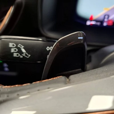Formentor 2.0 TDI 150 ch DSG7 4Drive  Business Edition - photo 23/69